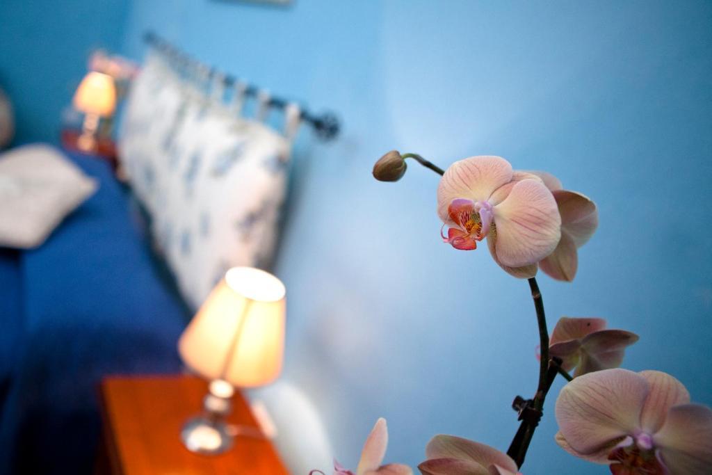 B&B Dimora San Vincenzo ガリポリ 部屋 写真